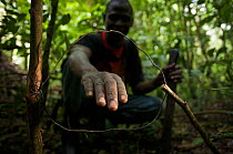 Andi Dominic, member of the snare removal team at Budongo Conservation Field Station showing a snare set for medium-sized duikers and bush pig in the rainforest. Budongo Forest Reserve, Masindi, Ugand...