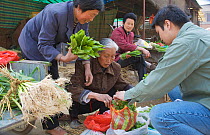 Chinese buying fresh vegetables and herbs from women at market in Zhouzhi town, Qinling Mountains, Shaanxi, China, March 2006