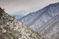Mountain landscape with snow, Zhouzhi Nature Reserve, Qinling Mountains, Shaanxi, China, April 2006