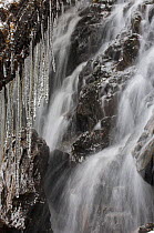 Icicles at a waterfall in Zhouzhi Nature Reserve, Qinling mountains, Shaanxi, China, April 2006