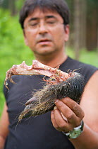 Forester George Majumder demonstrating remainder of front leg of Wild boar (Sus scrofa) as prey item of White-tailed Sea eagle (Haliaeetus albicilla), Berlin, Germany, May 2008