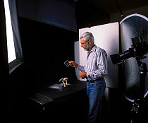 Photographer Yves Lanceau in his studio photographing spore dispersal pattern of False Death Cap fungus (Amanita citrina var. alba)