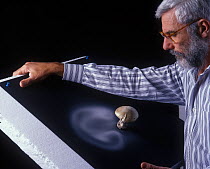 Photographer Yves Lanceau in his studio studying the spore dispersal pattern of the False Death Cap fungus (Amanita citrina var. alba)