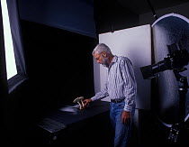 Yves Lanceau in his studio photographing spore dispersal pattern of False Death Cap fungus (Amanita citrina var. alba)