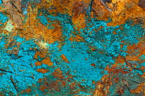 Copper ore. Chrysocolla (blue-green), azurite (blue) and malachite (green). South Arizona, USA.