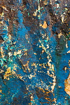 Copper ore. Chrysocolla (blue-green), azurite (blue) and malachite (green). South Arizona, USA.