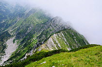 Adiabatic clouds forming on the windward side of the 1900m high Bohinj Ridge Moutains in the Julian Alps, as rising air cools, with grasses and Dwarf pines (Pinus mugo) growing between areas of expose...