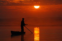 Fisherman silhouetted angling from traditional punt as the sun rises over the Biebrza river and marshes, Biebrza National Park, Podlaskie, Poland, May 2008.