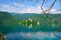 St. Mary of the Assumption church on Bled Island, Lake Bled, framed by tree branches, with the Julian Alps in the background, Slovenia, July 2010.