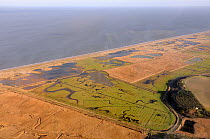 Aerial view of Cley Marshes nature reserve, looking out to sea with the East bank in the foreground, Norfolk, UK, January 2011.