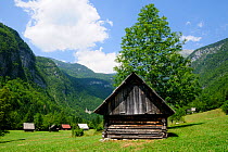 Traditional wooden herdsmen's huts in the Julian Alps, Voje valley, Triglav National Park, Slovenia, July 2010.