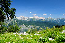 View of the highest peaks in the Julian Alps including Mount Triglav (2864m) from 1535m at the top of the Vogel cable car lift, Triglav National Park, Slovenia, July 2010.