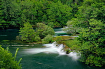 Overview of waterfalls on the Mreznica river, overhung by deciduous trees, Zvecaj, Karlovacka, Croatia, July 2010.