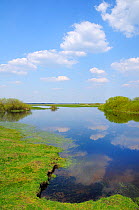 Cumulus clouds reflected in flooded grazing marsh in Biebrza National Park, Mscichy, Podlaskie, Poland, April 2008.