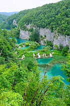 Overview of the lower lakes: Kaluderovac, Gavanovac and Milanovac, limestone cliffs and heavily forested surroundings, Plitvice Lakes National Park, Croatia, July 2010.