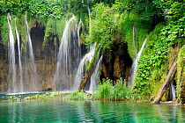 Grasses, mosses and Butterbur (Petasites) growing around waterfall as curtains of calcium laden water tumble down, forming travertine limestone at Plitvice Lakes National Park, Croatia, July 2010.