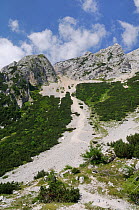Steep scree slope below the 2332m karst limestone Mojstrovska peak in the Julian Alps, Vrsic, Triglav National Park, Slovenia, July 2010.