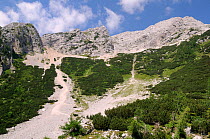 Steep scree slope below the 2332m karst limestone Mojstrovska peak in the Julian Alps, Vrsic, Triglav National Park, Slovenia, July 2010.