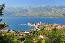 Overview of Vinjerac fishing village and harbour with Pine trees (Pinus sp.) in the foreground and the karst limestone Velebit mountain range of the Dinaric Alps in the background, Zadar province, Cro...