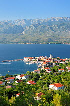 Overview of Vinjerac fishing village and harbour with Pine trees (Pinus sop.) in the foreground and the karst limestone Velebit mountain range of the Dinaric Alps in the background, Zadar province, Cr...
