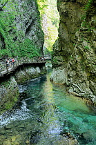 Tourists on walkway suspended from sheer cliffs alongside the Radovna river as it flows through karst limestone rocks in Vintgar gorge, near Bled, Slovenia, July 2010.