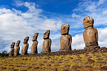 The seven Moai at Ahu Akivi that stand with their backs to the sea. Easter Island, October 2009.