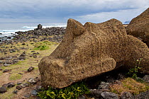 The fallen Moai at Ahu Hanga Tetenga with the coastline in the background. Hanga Tetenga, Easter Island, October 2009.