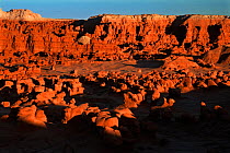 Hoodoo formations in the high desert of Goblin Valley State Park. Utah, USA, August.