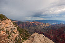 Summer storm sweeps across Wotan's Throne, Brahma and Zoraster temples and other geological formations. Bright Angel Point on the north rim of Grand Canyon National Park, Arizona, USA, July.