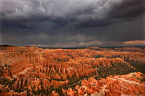 A thunderstorm drops heavy rain over the hoodoo sandstone formations. Bryce Canyon National Park, Utah, USA, August.