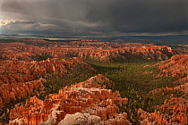 A thunderstorm drops heavy rain over the hoodoo sandstone formations. Bryce Canyon National Park, Utah, USA, August.