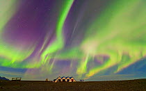 Northern lights (Aurora Borealis) in sky  above buildings by Jokulsarlon glacier lagoon. Southern Iceland, Europe, March 2011.