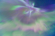 Looking up into the northern lights (Aurora Borealis) in sky Jokulsarlon glacier lagoon, Southern Iceland, Europe, March 2011.
