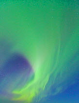 Looking up into the northern lights (Aurora Borealis) in sky,  Jokulsarlon glacier lagoon, Southern Iceland, Europe, March 2011.