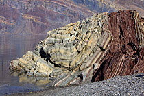 Glaciers have transported these folded sedimentary rocks, dated to the Cambrian and late pre-Cambrian. Segelsllskapets Fjord, northeast Greenland National Park, September 2008.