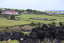Houses and the cemetery in Edinburgh of the Seven Seas with solidified lava in the foreground. Tristan da Cunha, South Atlantic Islands, March 2007.