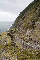 A rocky path following a mountainside. Tristan da Cunha, South Atlantic Islands, March 2007.