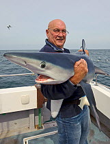 Sea angler with Great blue shark (Prionace glauca) on boat prior to tagging and release, Irish Sea off Pembrokeshire, Wales, UK, August 2010.