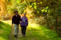 Couple walking down path through woodland, The National Forest, Central England, UK, November 2010