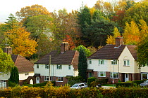 Houses surrounded by trees in village of Woodhouse Eaves, The National Forest, Leicestershire, UK, November 2010