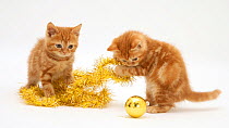 Red tabby kittens playing with Christmas tinsel and bauble.