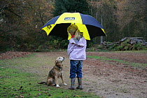 Child with umbrella and Lakeland Terrier x Border Collie (Canis familiaris) bitch.