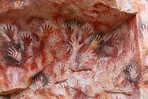 Cave hand paintings, dated to around 550 BC. Cueva de las Manos, Argentina, March 2010.