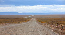 Remote dirt track stretching towards mountains on a distant horizon. Route 40, Argentina, Patagonia, South America, March 2010.