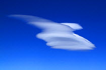 Lenticular cloud. Los Alerces National Park, Argentina.