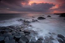 Giants Causeway at dusk, County Antrim, Northern Ireland, UK, June 2010. Looking out to sea. 2020VISION Book Plate.