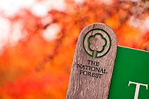 Woodland sign with autumnal colour forming the backdrop, Feanedock Wood, The National Forest,  Derbyshire, UK. November 2010.