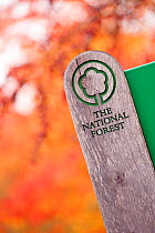 Woodland sign with autumnal colour forming the backdrop, Feanedock Wood, The National Forest,  Derbyshire, UK. November 2010.