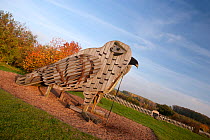 Wooden owl play structure, Roslington Forestry Centre, The National Forest, Derbyshire, UK. November 2010.