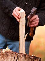 The National Forest Woodland craft  preparing wood to make a chair. Peter Wood runs Greenwood Days, teaching traditional woodland craft courses  like chair making  in the woodland. The business ben...